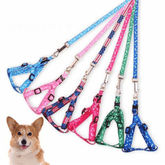 Set Dây Dắt Kèm Vòng Yếm Vải In Họa Tiết Cho Chó Mèo - Paddy Pet Shop